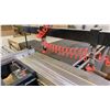 Image 7 : MF-45 INDUSTRIAL GRADE SLIDING TABLE PANEL SAW WITH CUSTOM BUILT WOOD TABLE EXTENSION