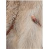 Image 5 : Rudolf of Calgary Wolf Fur Men's Coat Size XL