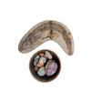 Image 1 : Fossil and Specimen Collection Including 1987 Brazil Fish Fossil