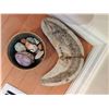 Image 2 : Fossil and Specimen Collection Including 1987 Brazil Fish Fossil
