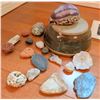 Image 3 : Fossil and Specimen Collection Including 1987 Brazil Fish Fossil