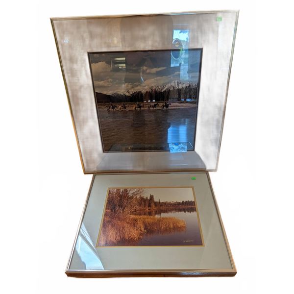 Framed Signed Nature Photographs