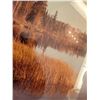 Image 5 : Framed Signed Nature Photographs