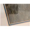 Image 8 : Framed Signed Nature Photographs