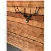 Image 6 : Wooden Log Cabin Model with 'Sold by Marcel Tessier RE/MAX' Sign