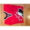 Image 7 : Harry Rosen Wool Jacket and Nike Team Canada Hockey Jersey XL