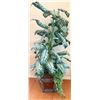 Image 2 : Tall Artificial Dieffenbachia Plant in Decorative Pot