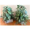 Image 3 : Decorative Ceramic Urn with Handles and Two Artificial Foliage Arrangements
