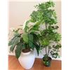 Image 1 : Artificial Tree and Peace Lily in Decorative Planters