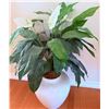 Image 3 : Artificial Tree and Peace Lily in Decorative Planters