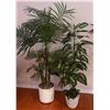 Image 1 : Two Artificial Potted Plants with Planters