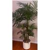 Image 2 : Two Artificial Potted Plants with Planters