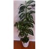 Image 3 : Two Artificial Potted Plants with Planters