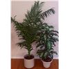 Image 1 : Artificial Potted Floor Plants