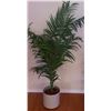 Image 2 : Artificial Potted Floor Plants