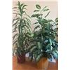Image 1 : Artificial Indoor Potted Plants
