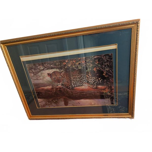 Framed Leopard Wildlife Art Print With Matting, 36 Inches Wide
