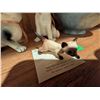 Image 3 : 3 Cat Figurines and Beswick Pottery Basket