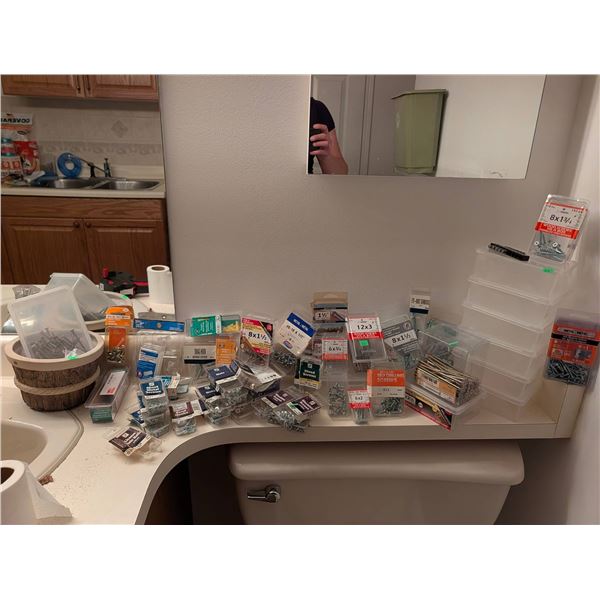 Screws, Nuts, Hooks, and Storage Containers Lot
