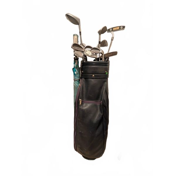 King Cobra Driver, Mixed Irons, and Golf Bag Set