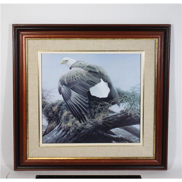 BALD EAGLE PICTURE ROBERT BATEMAN 1980