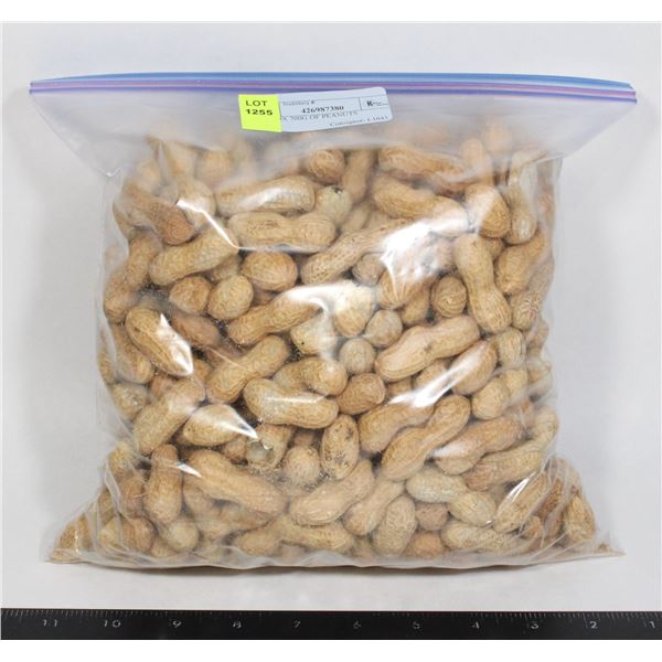 APPROX 700G OF PEANUTS