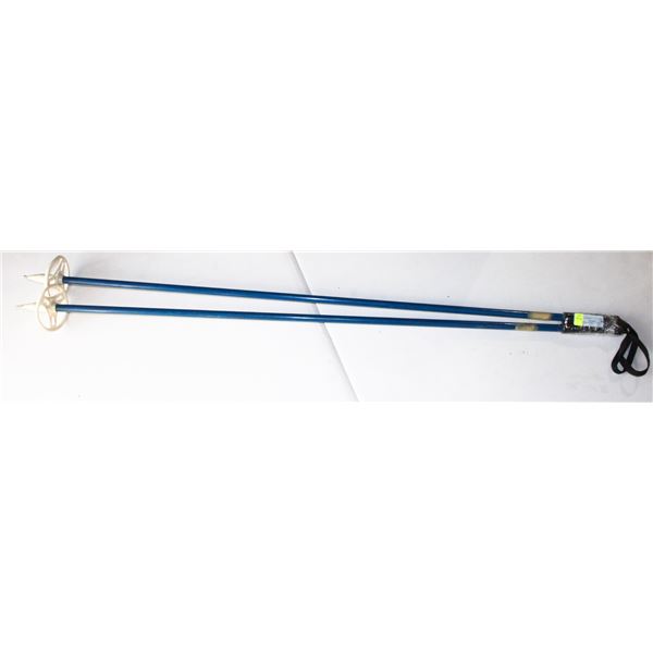 SET OF SKII POLES