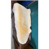 Image 1 : Auckland 100% Genuine Sheepskin Rug