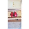 Image 4 : FREUD LARGE ROUTER BIT SET, 3PC