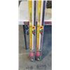 Image 3 : 2 NEW SUNBLASTER T5 BULBS, 48 INCH