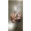 Image 1 : BAG OF OLD CANADIAN PENNIES AND USA COPPER PENNIES 1,310G