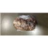 Image 1 : BAG OF OLD CANADIAN PENNIES AND USA COPPER PENNIES 1,300G