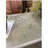 Image 3 : 2 LARGE HANGING SPIDER PLANT BASKETS
