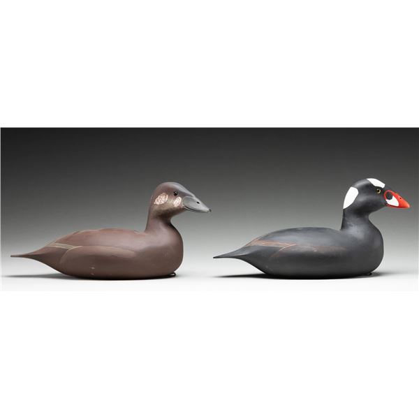 PAIR OF H.V. SHOURDS OF SEAVILLE, NY SURF SCOTER