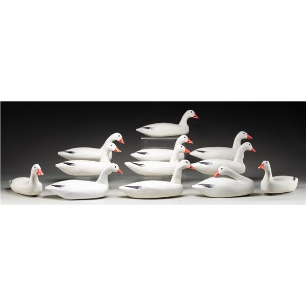 12 ROBERT HOLZWORTH SNOW GOOSE WOODEN DECOYS.