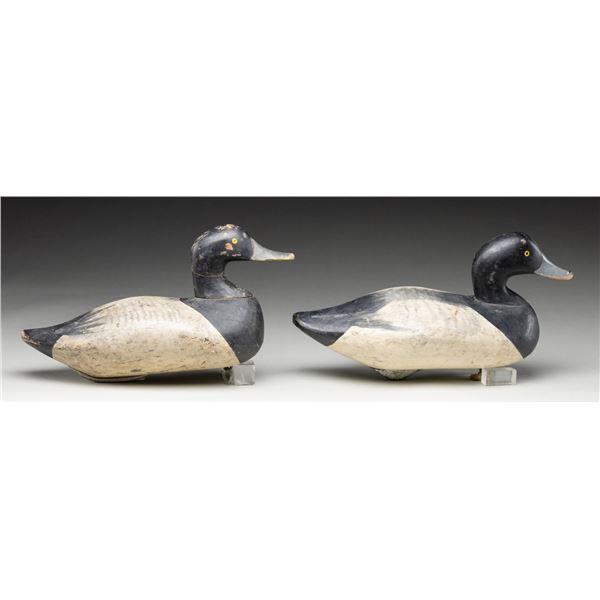ROBERT MCGAW & CHARLES JOINER BLUEBILL WORK