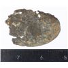 Image 2 : #431 WW1 Imperial German Dog Tag ID Tag 7K JR343