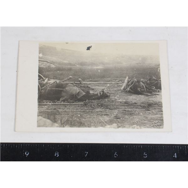 #1240 WW1 Imperial German RPPC dead horses
