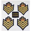 Image 1 : #1318 Obsolete RCMP Rank Insignia lot