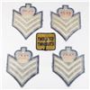 Image 2 : #1318 Obsolete RCMP Rank Insignia lot