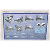 Image 2 : #1556 ARV Club F-16 AM Fighting Falcon Cartoon Jet