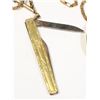 Image 6 : #1731 7 Jewel Elgin Pocket Watch + Knife Chain