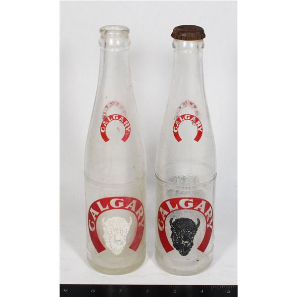 #1876 Pair Calgary Brewery Bottles Alberta