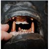 Image 2 : BIGFOOT GORILLA PLANET OF THE APES FULL COSTUME