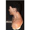Image 4 : SEVERED SILICONE PROGENY ALIEN BURST OUT OF HIS NECK HEAD FULL BUST RIG
