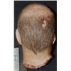 Image 4 : SEVERED SILICONE HEAD WITH SHOT GUN BLASTS