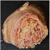 Image 5 : SEVERED SILICONE HEAD WITH SHOT GUN BLASTS
