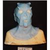 Image 1 : STAR TREK DISCOVERY ANDORIAN RYN ALIEN SILICONE SCREEN USED MASK B