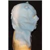 Image 2 : STAR TREK DISCOVERY ANDORIAN RYN ALIEN SILICONE SCREEN USED MASK B