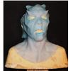Image 1 : STAR TREK DISCOVERY ANDORIAN RYN ALIEN SILICONE SCREEN USED MASK C
